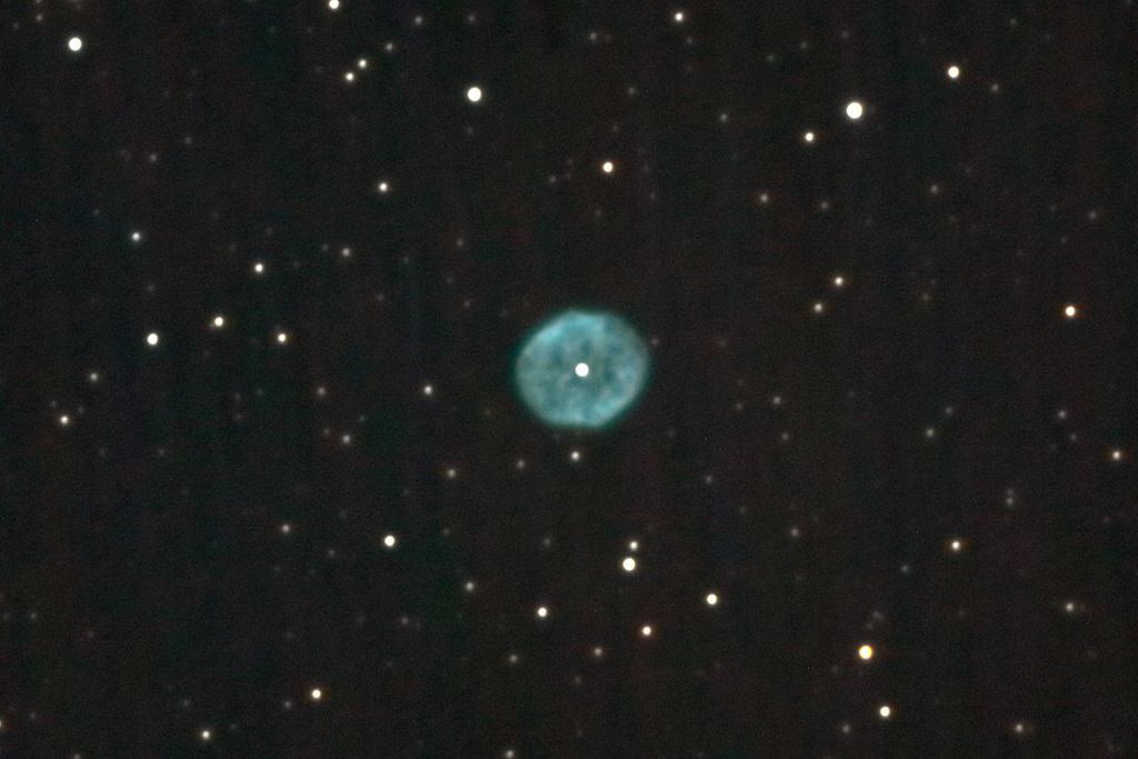 NGC1501